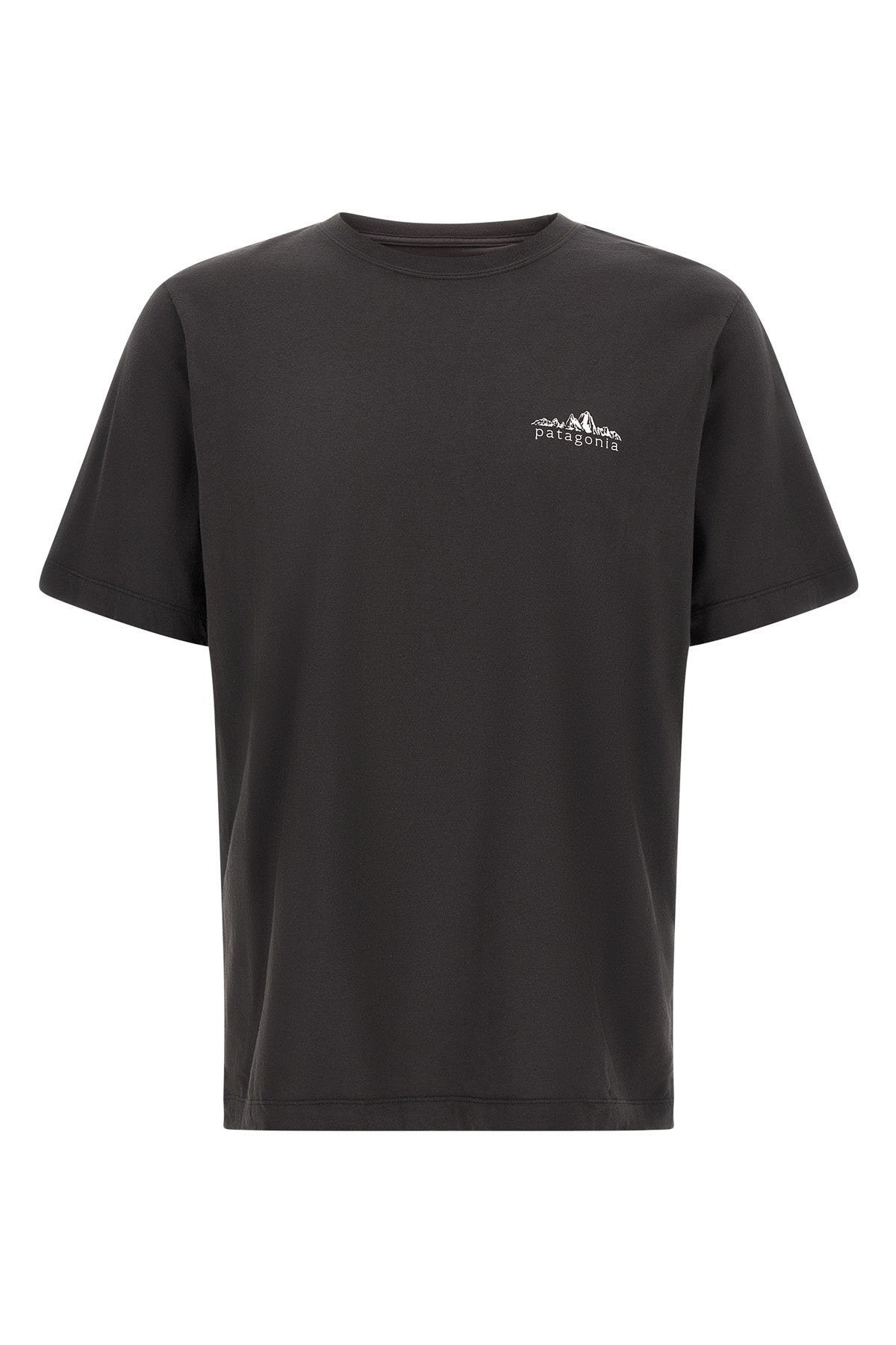 the patagonia fitz roy foothills t-shirt