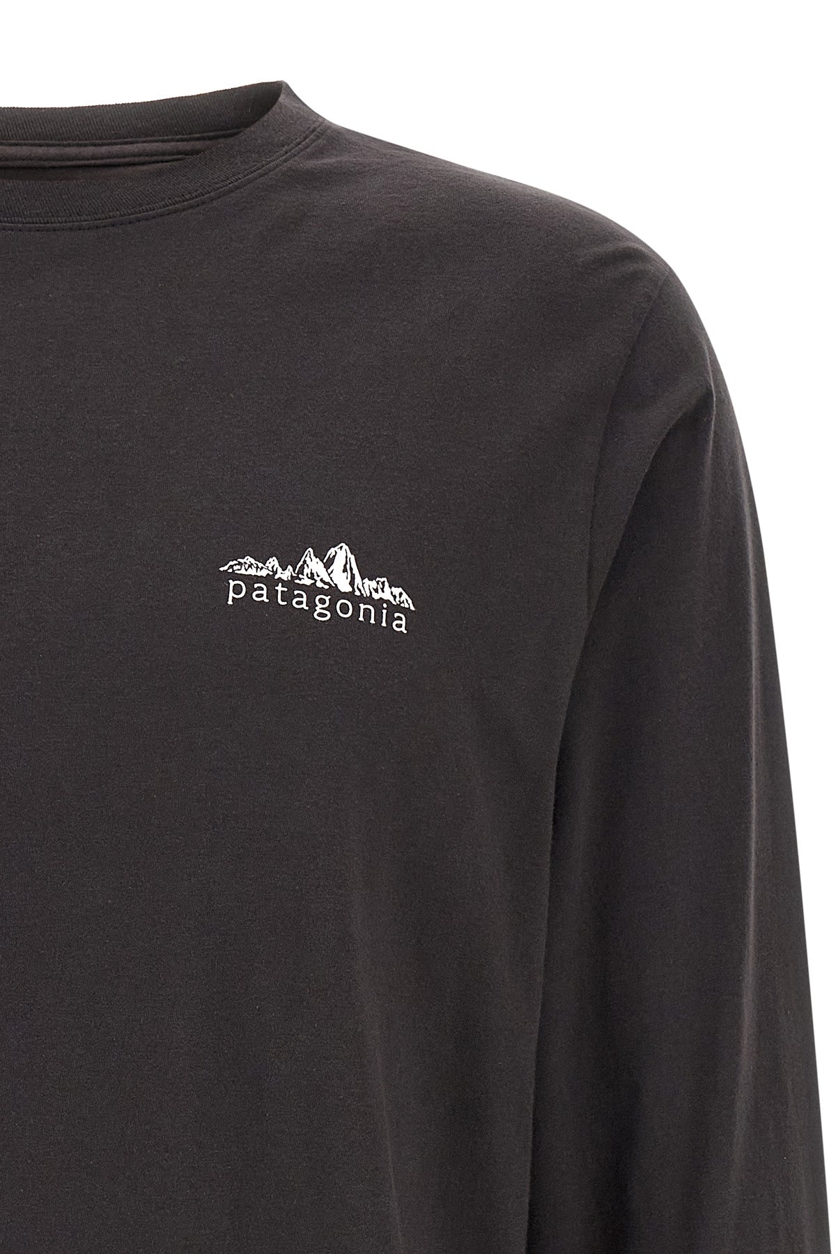 the patagonia fitz roy foothills t-shirt
