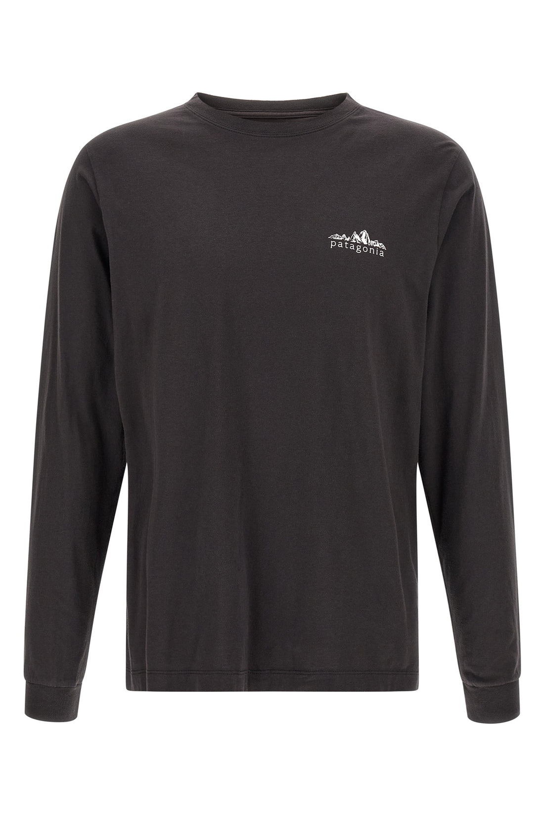 PATAGONIA L the patagonia fitz roy foothills t-shirt