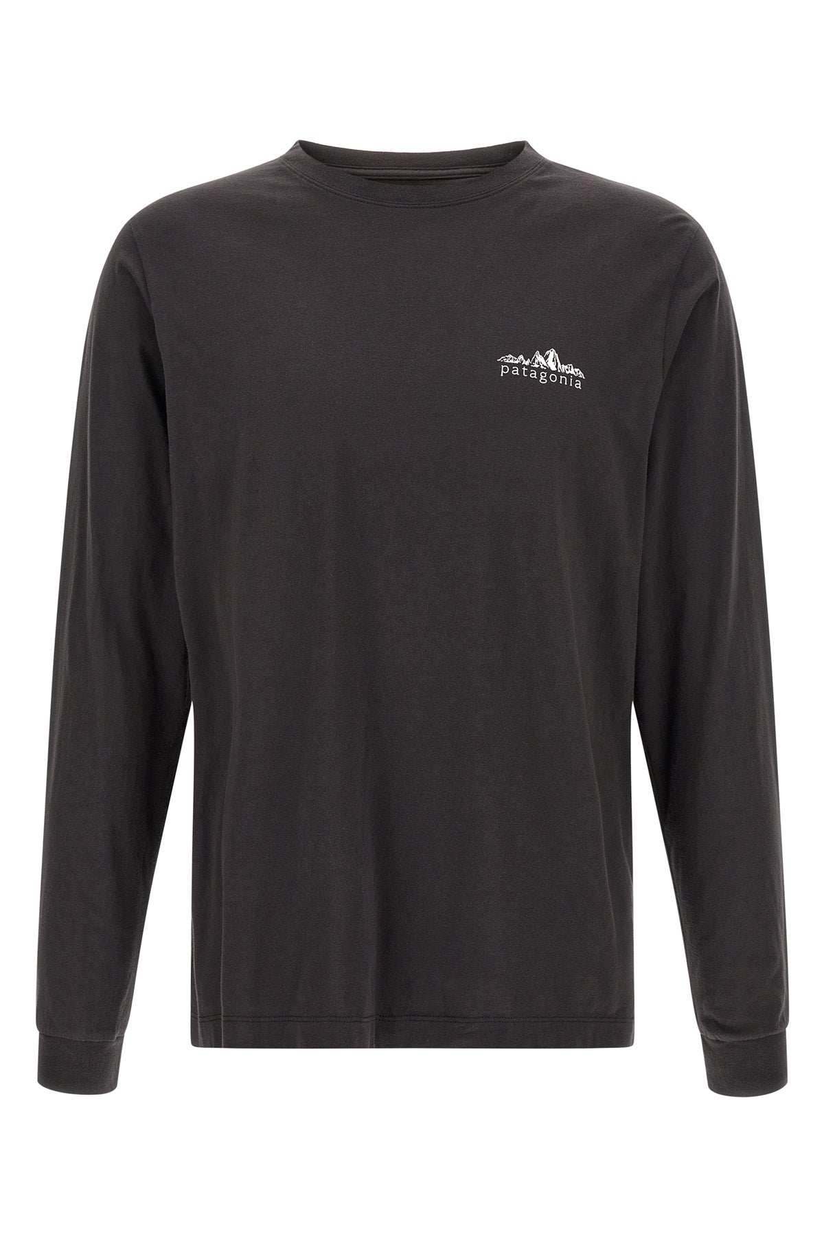 the patagonia fitz roy foothills t-shirt