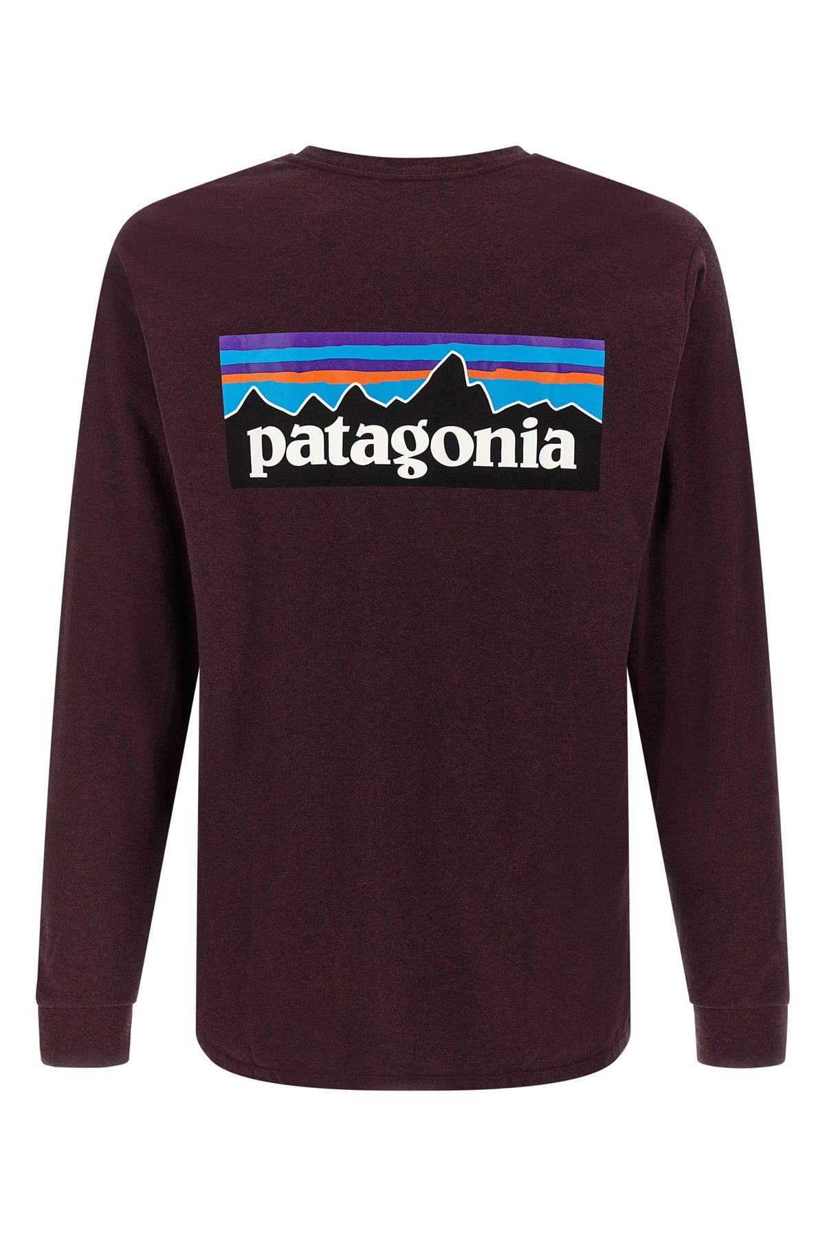 the patagonia responsibili t-shirt