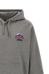 the patagonia hoodie