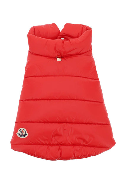 dog down vest