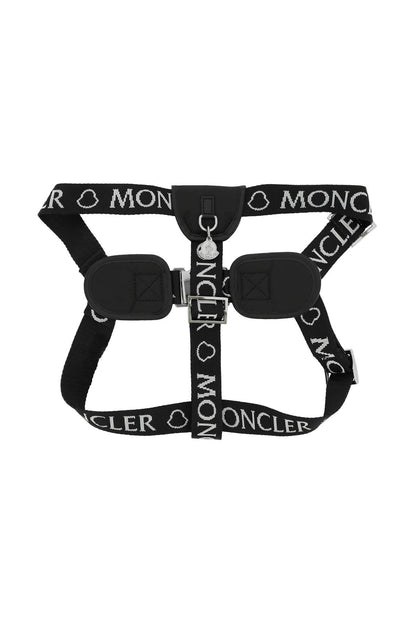 branded webbing harness