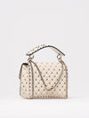woman's mini bag