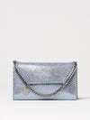 woman's mini bag