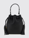 woman's handbag