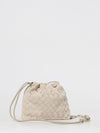 woman's mini bag