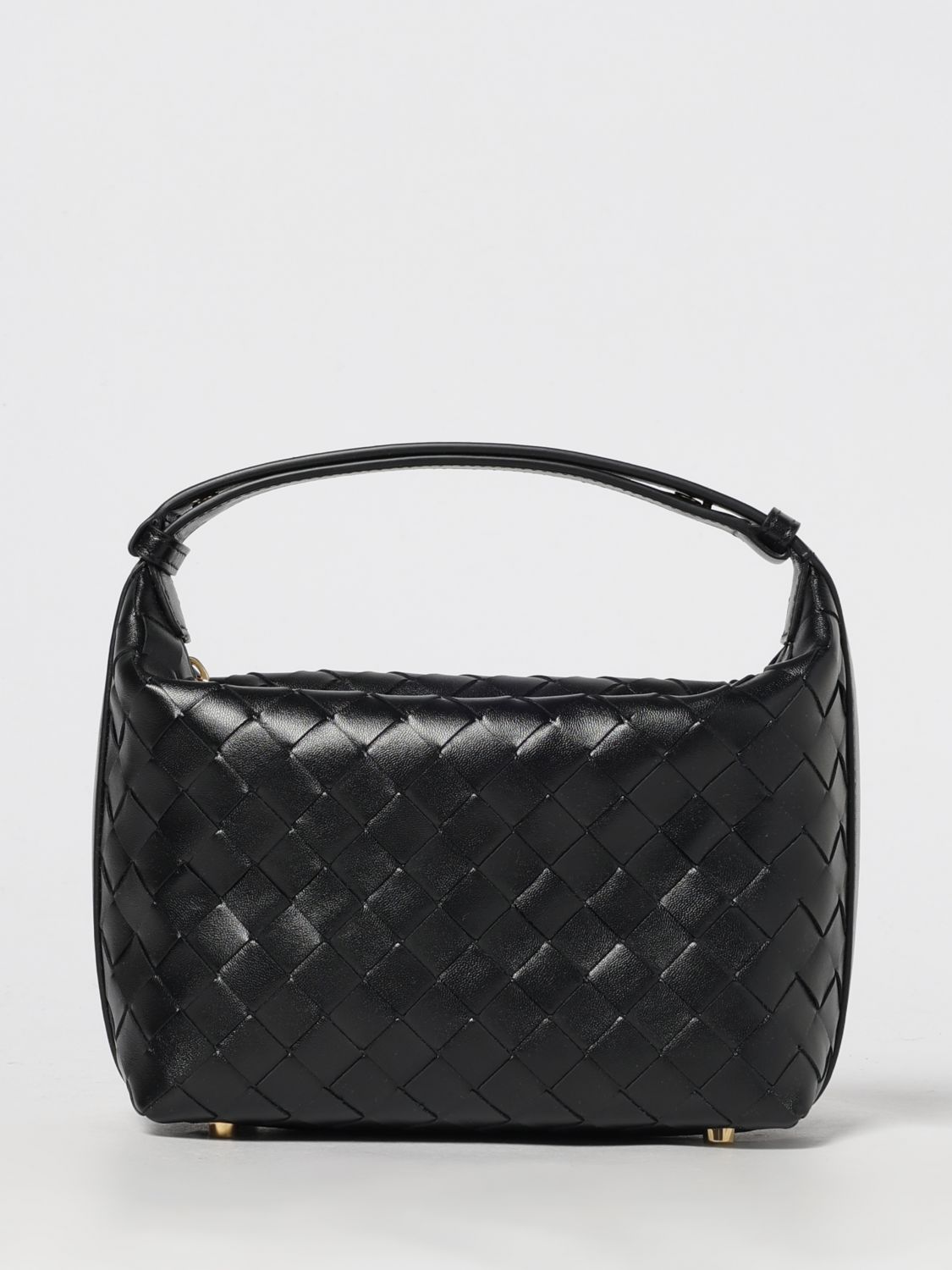 woman's mini bag