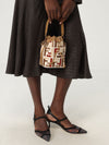 woman's mini bag