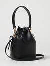 woman's mini bag