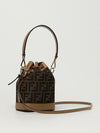 woman's mini bag