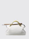 woman's handbag