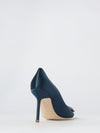woman's pump