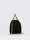 woman's mini bag