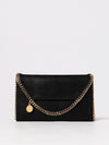 woman's mini bag