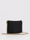 woman's mini bag