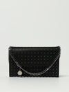 woman's mini bag
