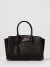 woman's handbag