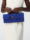 woman's clutch