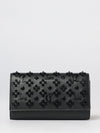 woman's mini bag