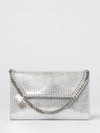 woman's mini bag