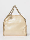 woman's mini bag