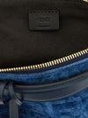 woman's mini bag