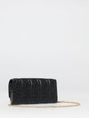 woman's mini bag
