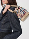 woman's mini bag