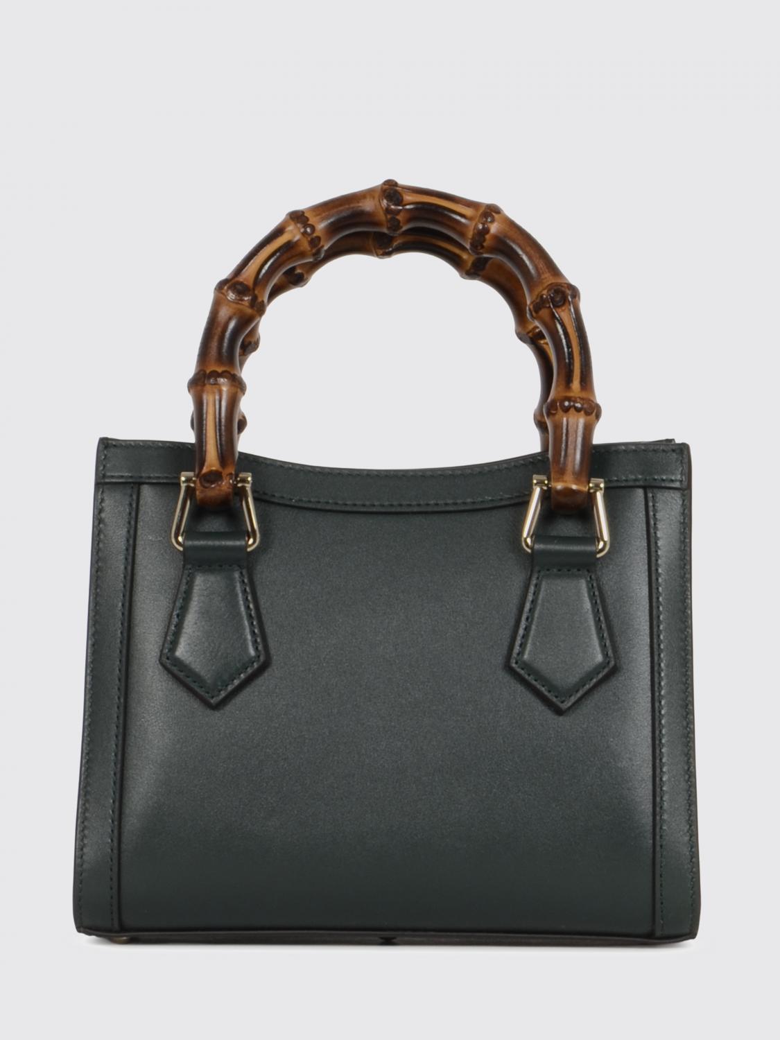 woman's mini bag