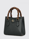 woman's mini bag