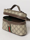 woman's mini bag