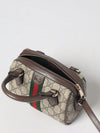 woman's mini bag