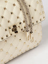 woman's handbag