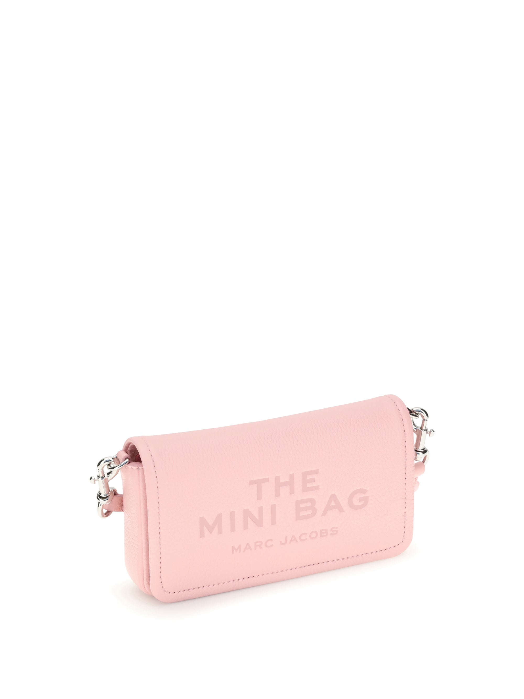 the mini bag shoulder bag