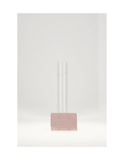 DIOR OS my dior medium wallet