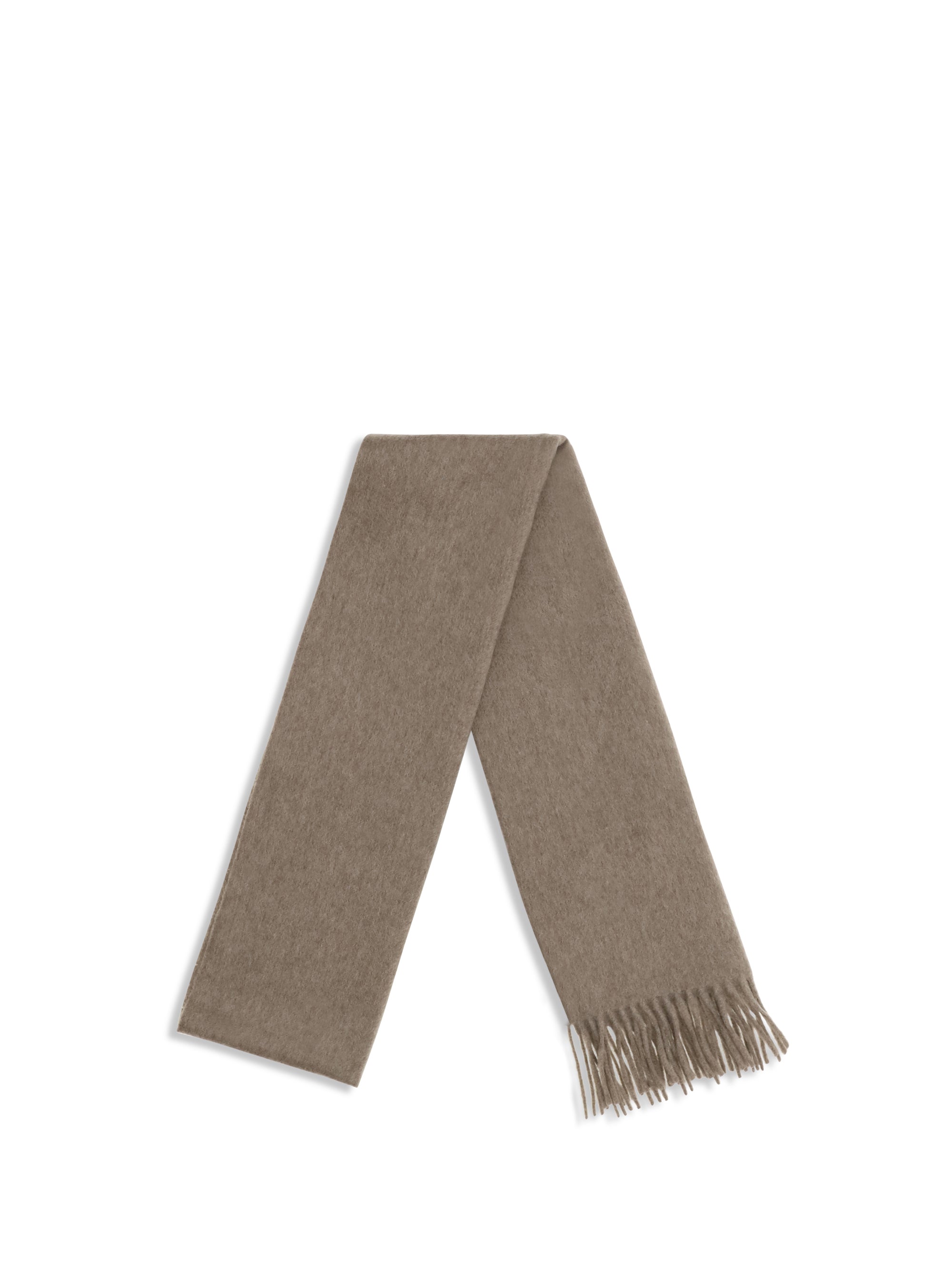 dalia scarf