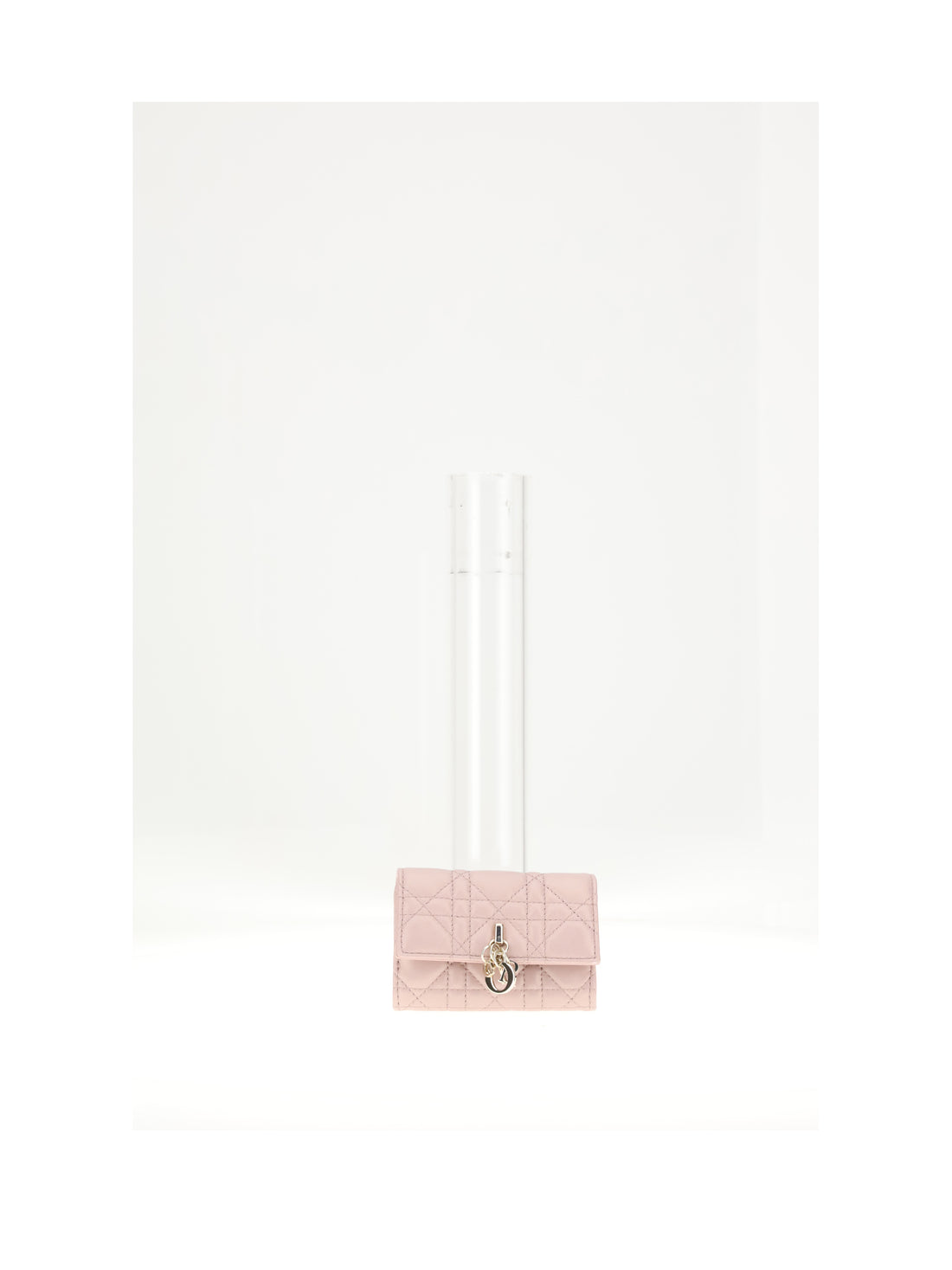 DIOR OS my dior medium wallet