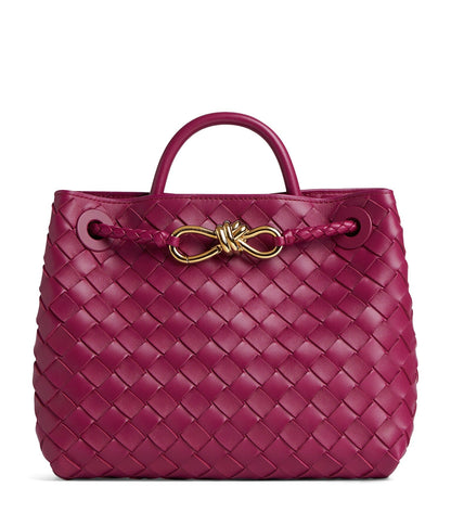 bottega-veneta-andiamo-small-dark-pink-leather-leather-bag