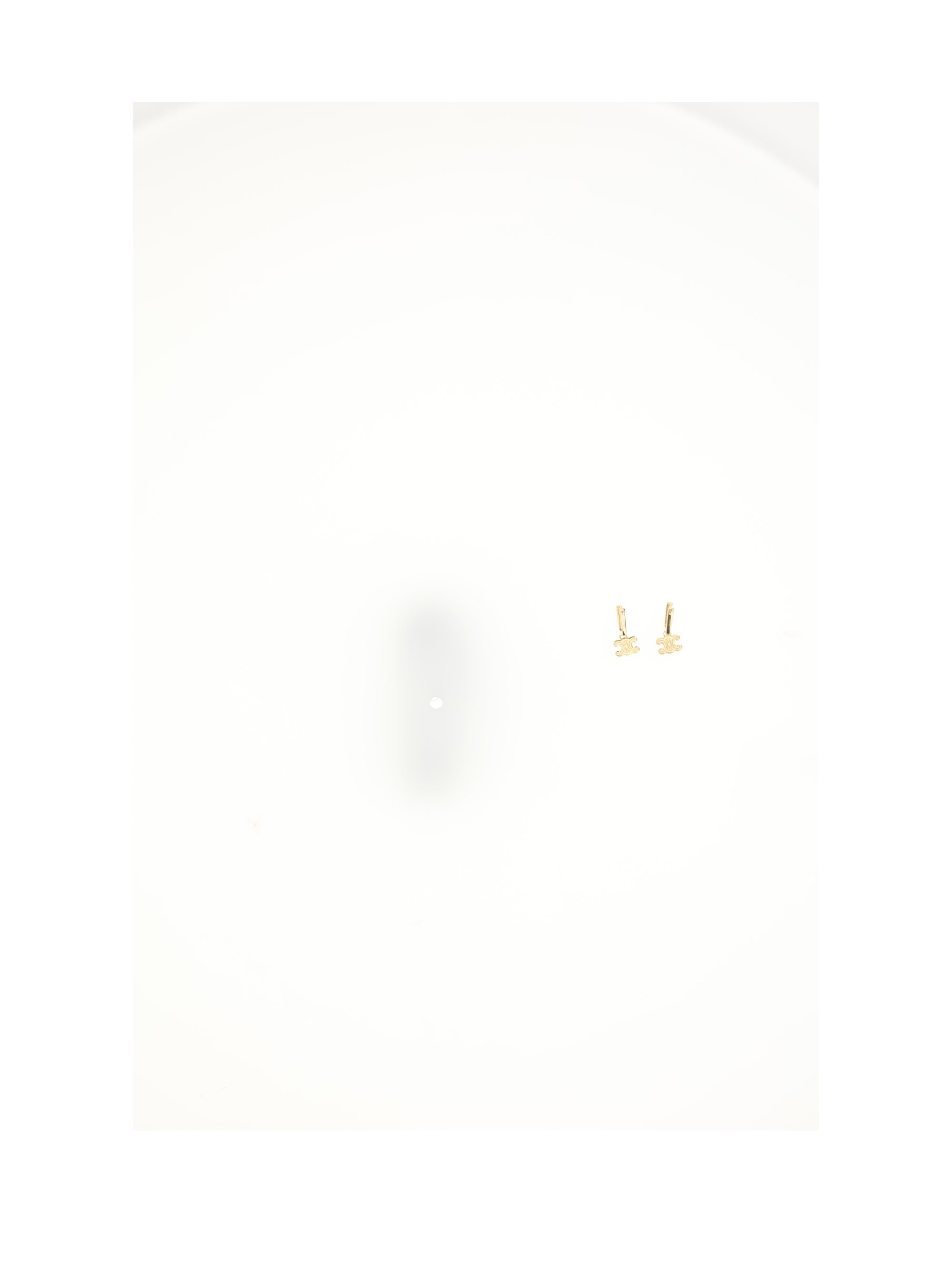 chunky triomphe earrings
