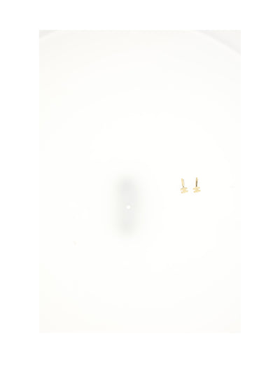 chunky triomphe earrings