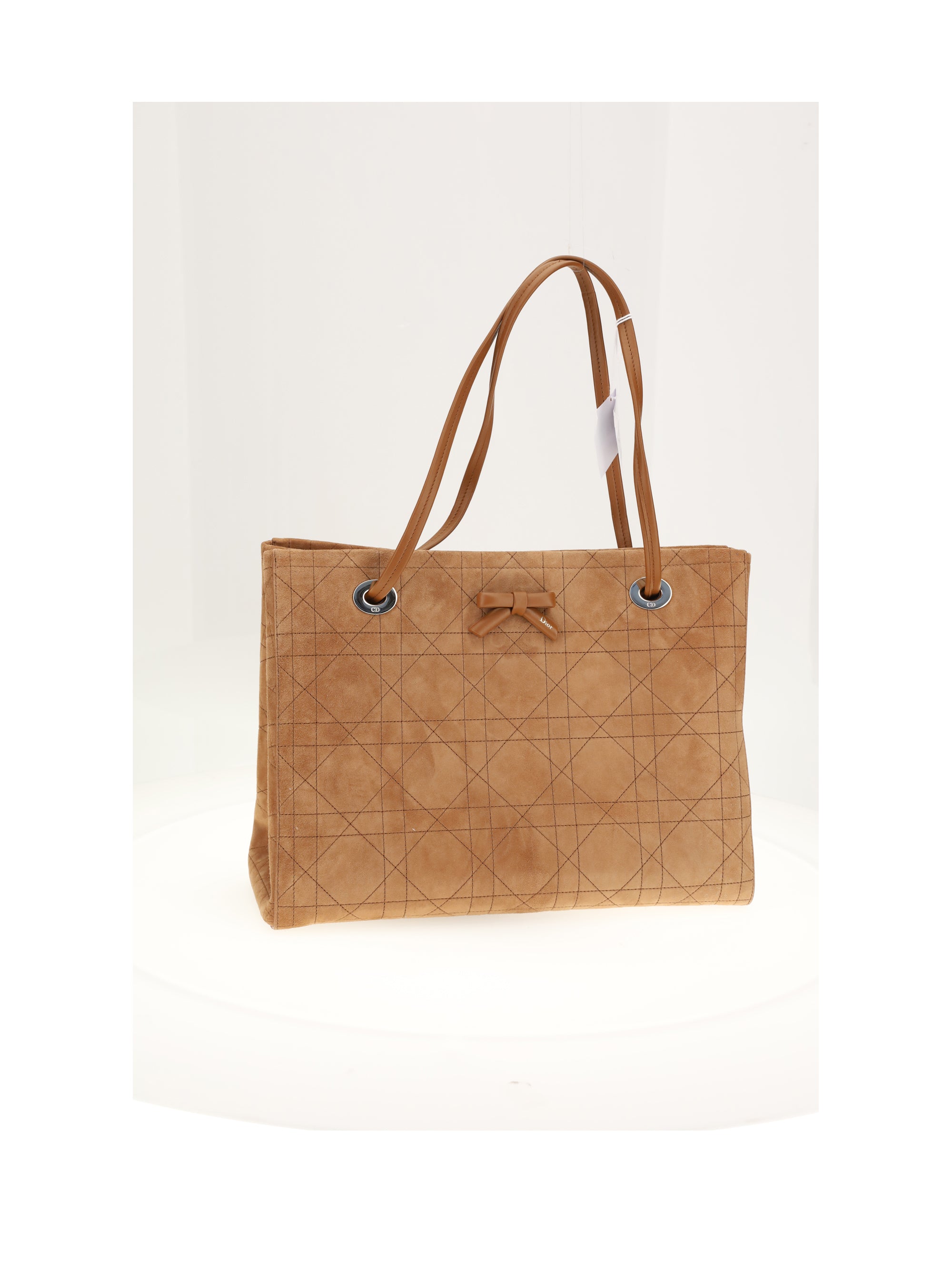 dior promenade medium tote suede