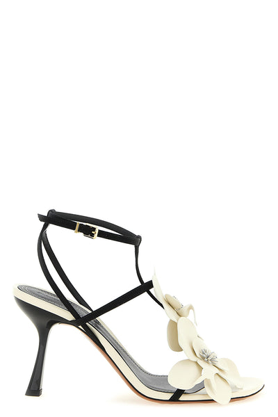 leather sandals