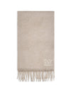 dalia cashmere scarf