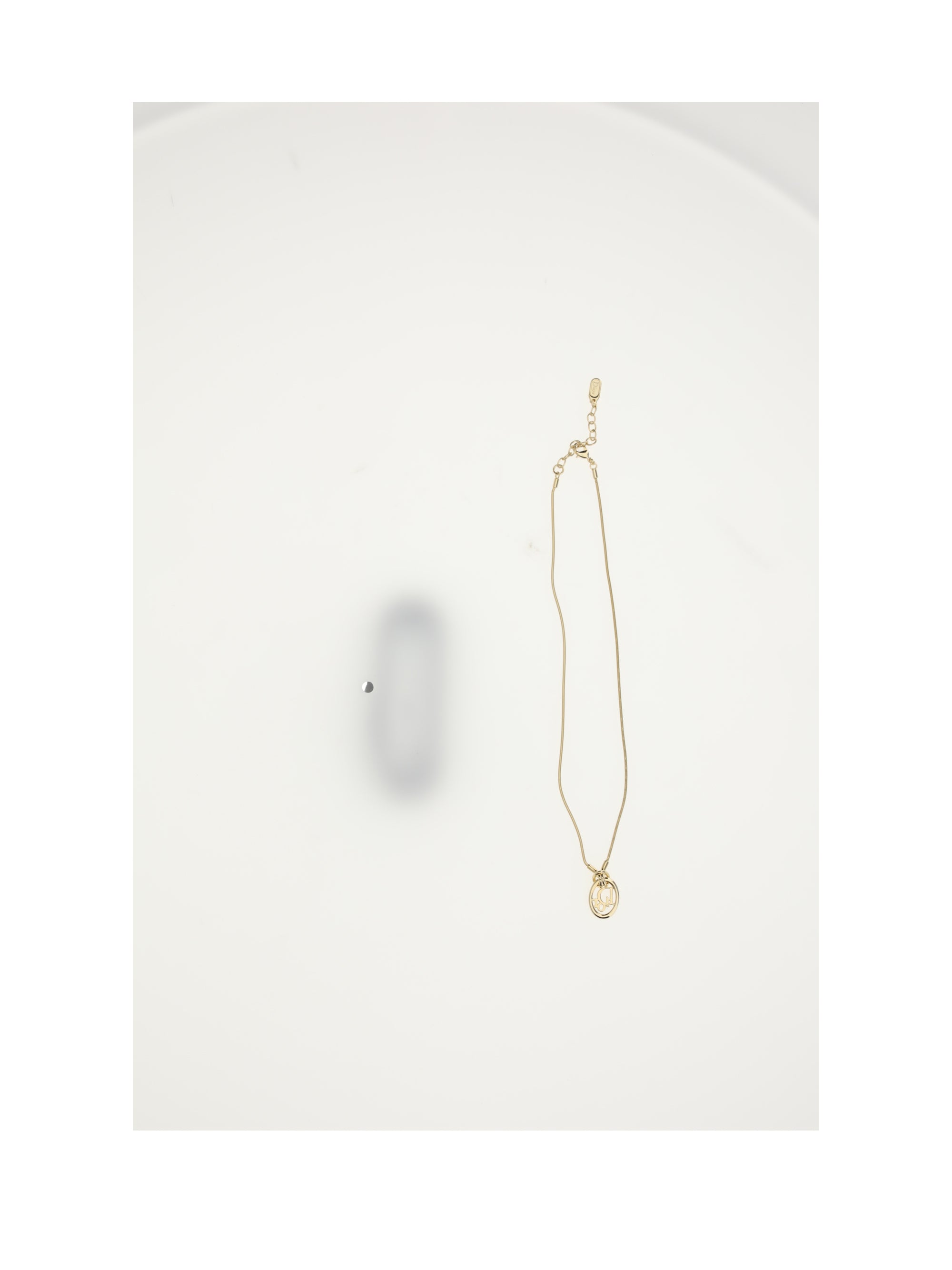 dior oblique neacklace crystals