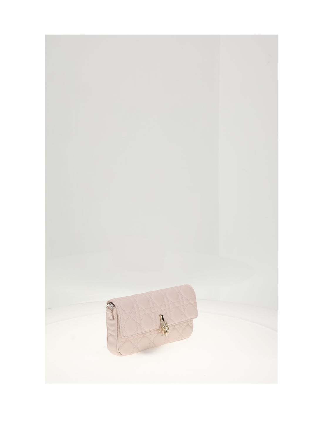 DIOR OS my dior pouch lambskin