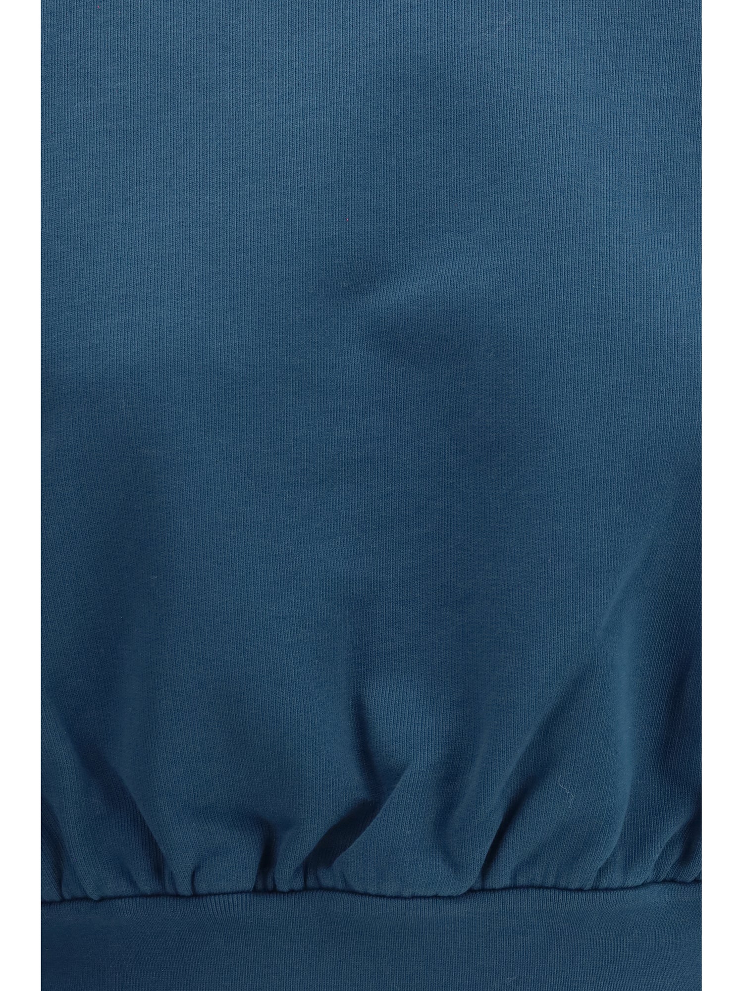 ALAIA 38 crewneck sweatshirt 