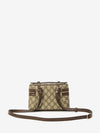ophidia vanity bag