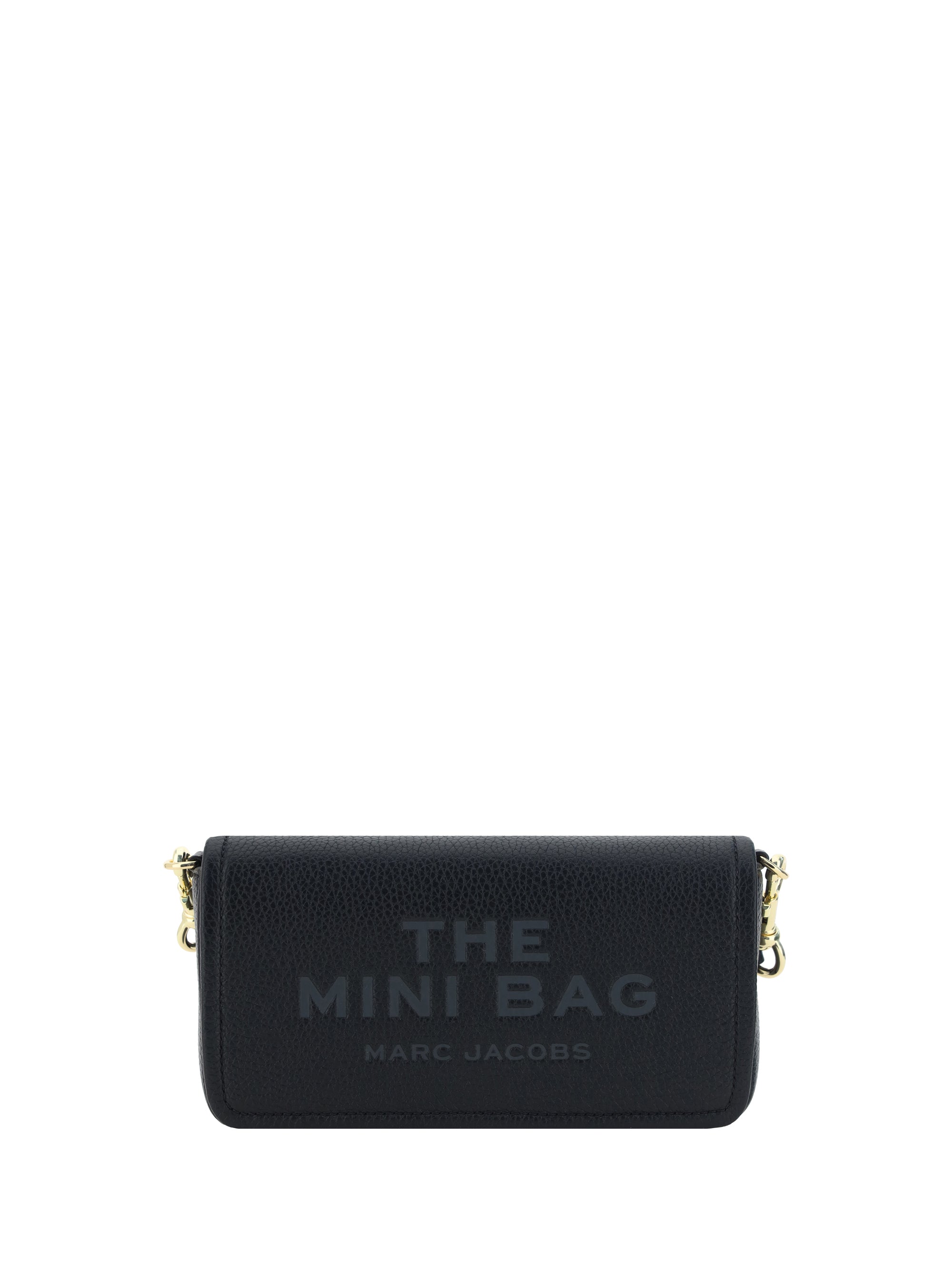 the mini bag shoulder bag